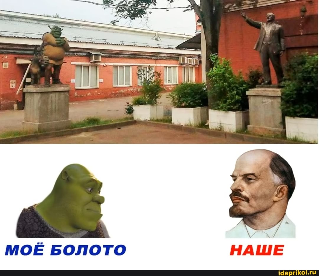 МОЁ БОЛОТО НАШЕ
