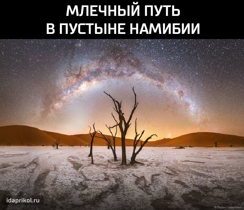 МЛЕЧНЫЙ ПУТЬ
В ПУСТЫНЕ НАМИБИИ
I
