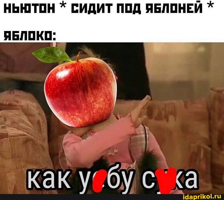 НЬЮТОН * СИДИТ ПОД ЯБЛОНЕЙ *
ЯБЛОКО:
как