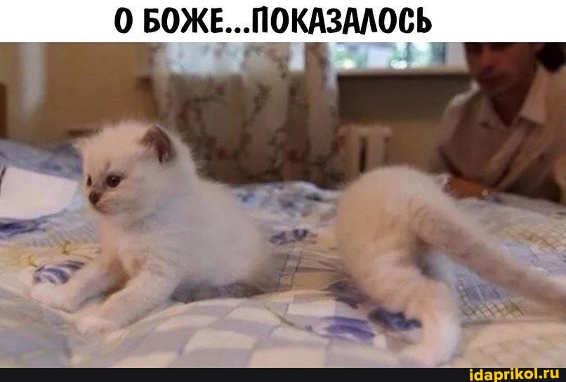 0 БОЖЕ... ПОКАЗАЛОСЬ