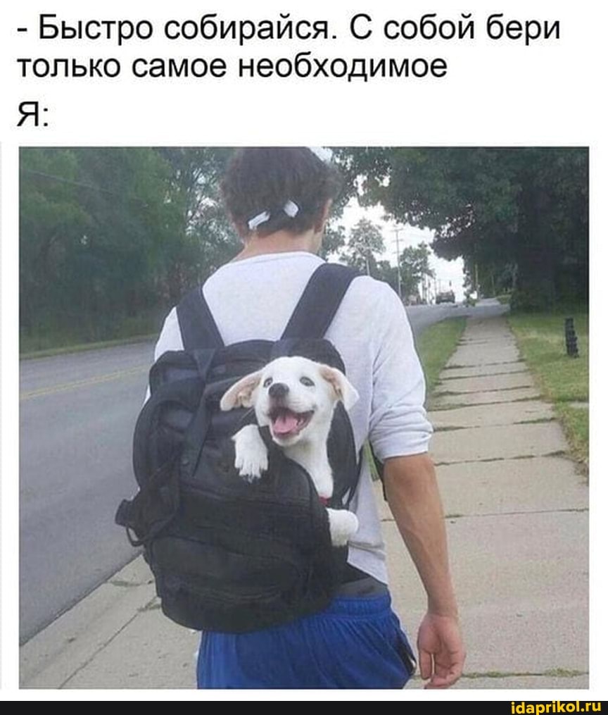 - Быстро собирайся. С собой бери только самое необходимое