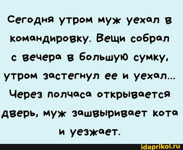 Сегодня утром муж уехол в командировку. Вещи собрал с вечера в большую сумку, утром застегнул ее и уехол...
Через полчаса открывается дверь, муж зашвыривает кота и уезжает.