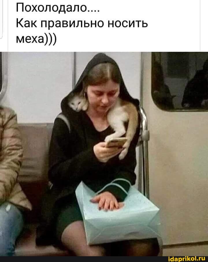 Похолодало....
Как правильно носить меха)))