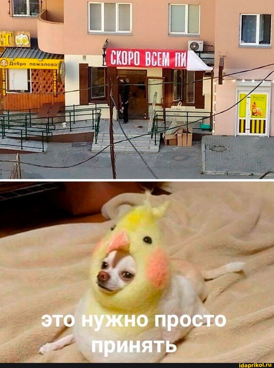 это нужно просто принять