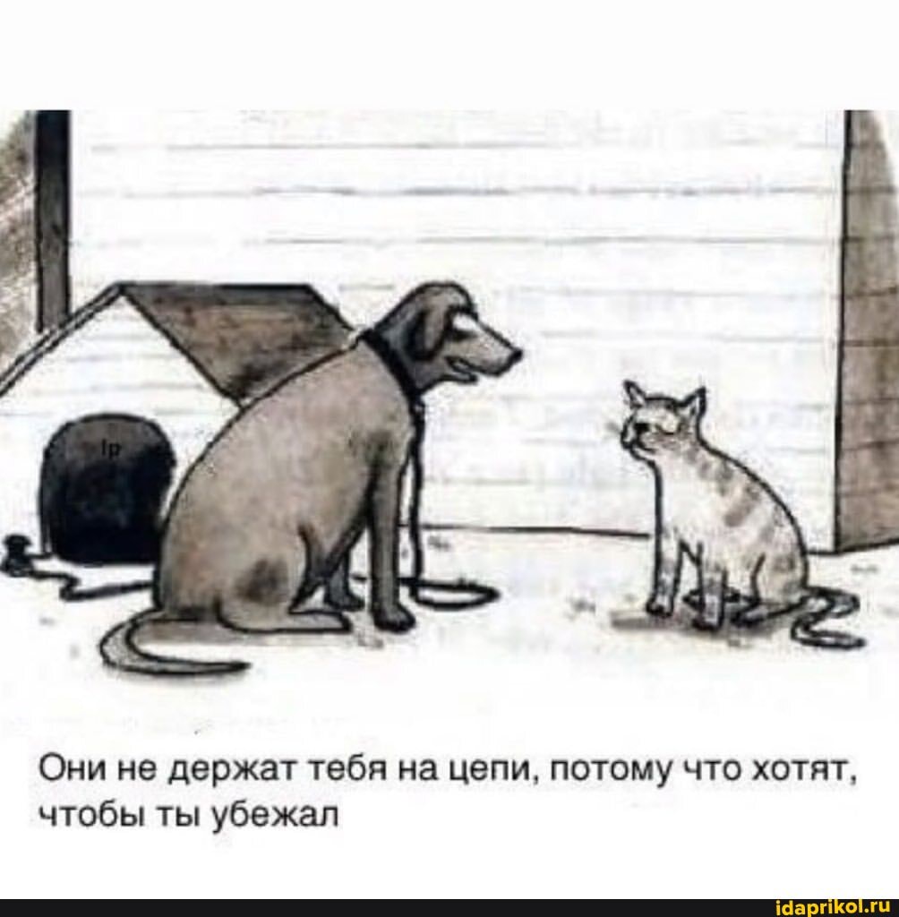 Они не держат тебя на цепи, потому что хотят, чтобы ты убежал