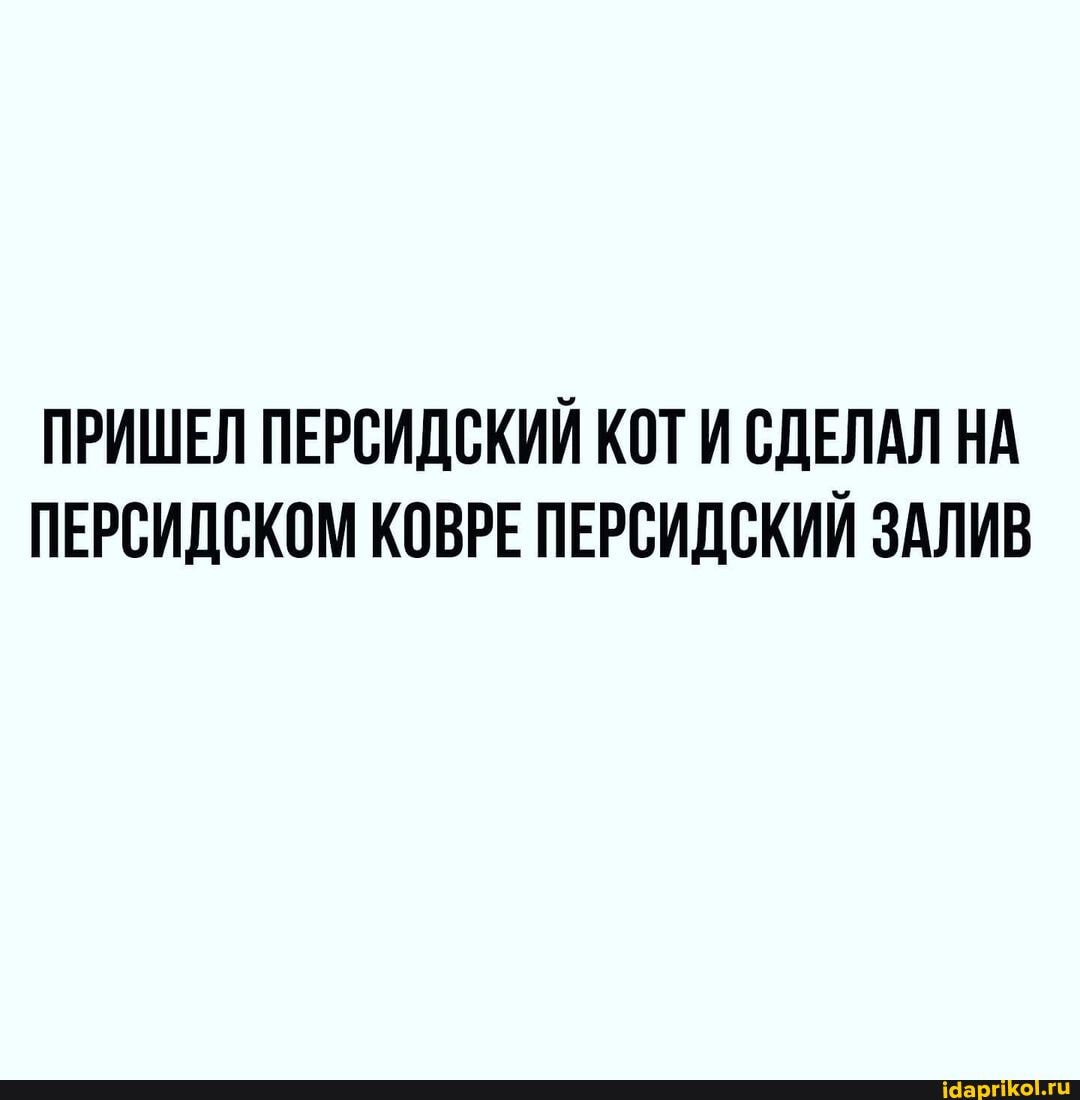 ПРИШЕЛ ПЕРСИДСКИЙ КОТ И СДЕЛАЛ НА ПЕРСИДСКОМ КОВРЕ ПЕРСИДСКИЙ ЗАЛИВ