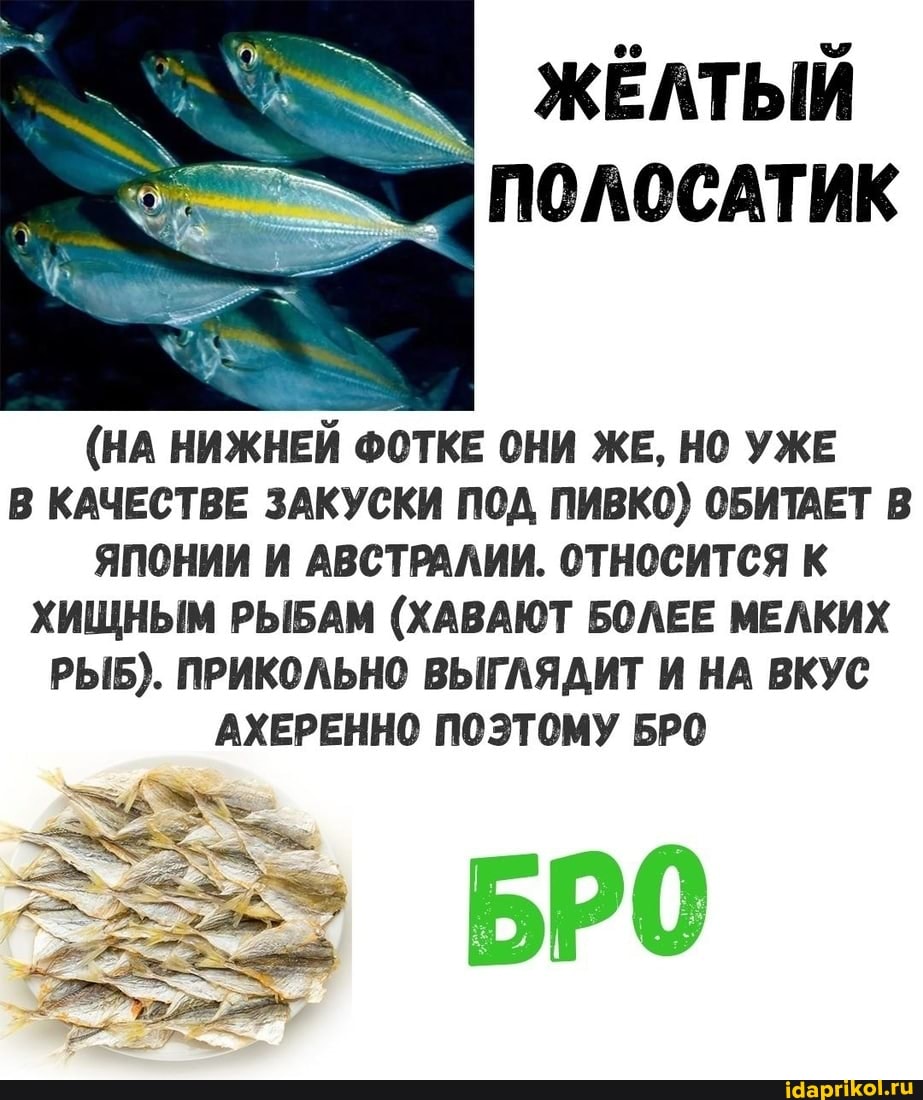 Ч жЁлтый
ПОЛОСАТИК
(НА НИЖНЕЙ ФОТКЕ ОНИ ЖЕ, НО УЖЕ В КАЧЕСТВЕ ЗАКУСКИ ПОД ПИВКО) ОБИТАЕТ В ЯПОНИИ И АВСТРАЛИИ. ОТНОСИТСЯ К ХИЩНЫМ РЫБАМ (ХАВАЮТ БОЛЕЕ МЕЛКИХ РЫБ). ПРИКОЛЬНО ВЫГЛЯДИТ И НА ВКУС АХЕРЕННО ПОЭТОМУ БРО