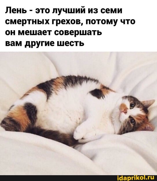Лень - это лучший из семи смертных грехов, потому что он мешает совершать
вам другие шесть
