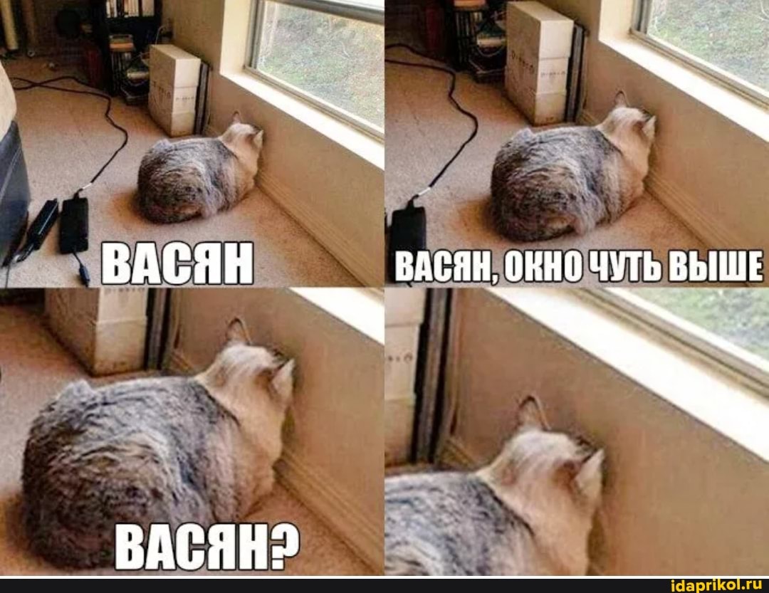 ВАСЯН ВАСЯН, ОКНО ЧУТЬ ВЫШЕ
ВАСЯН2