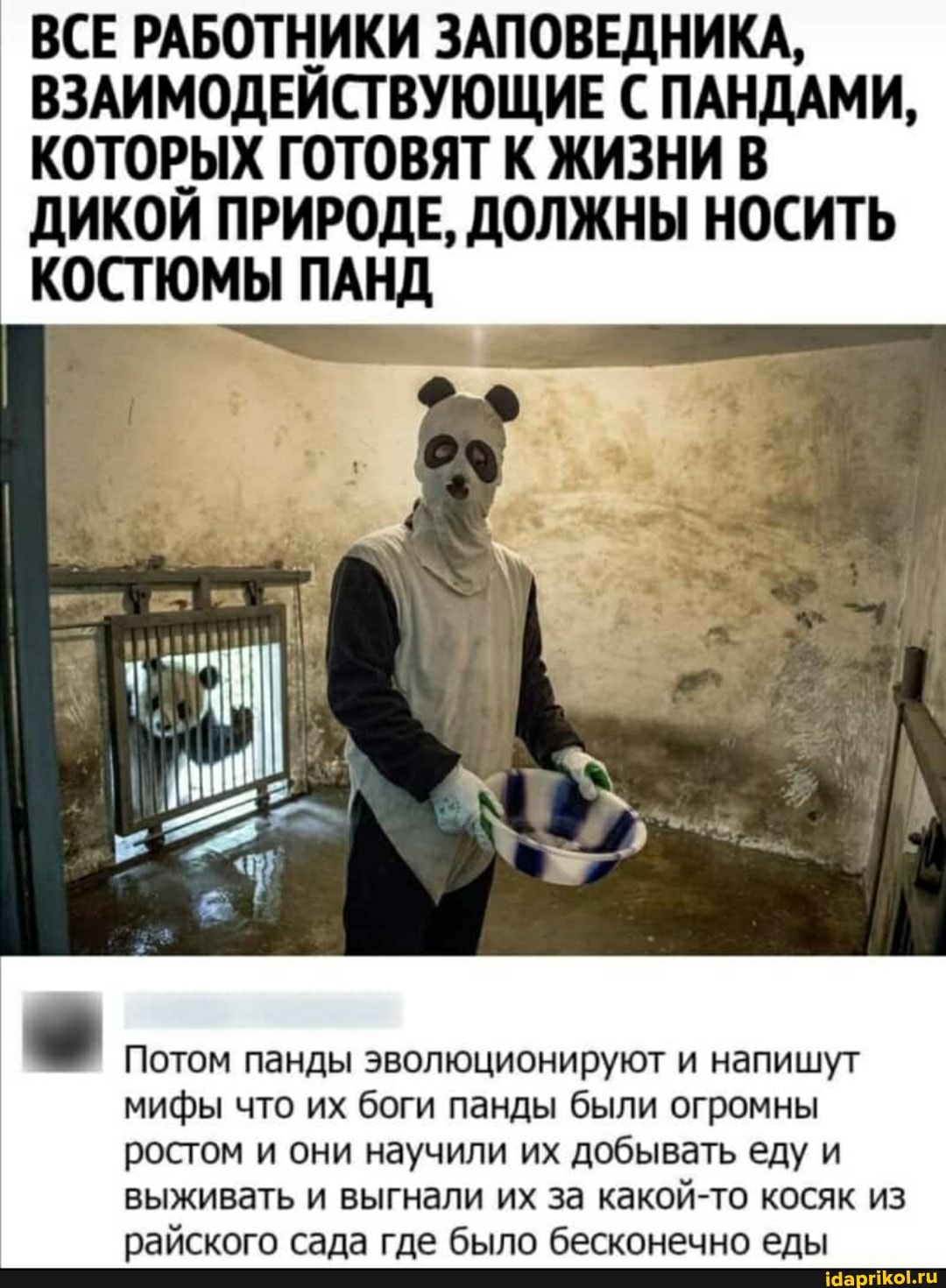 ВСЕ РАБОТНИКИ ЗАПОВЕДНИКА,
ВЗАИМОДЕЙСТВУЮЩИЕ С ПАНДАМИ,
КОТОРЫХ ГОТОВЯТ К ЖИЗНИ В ДИКОЙ ПРИРОДЕ, ДОЛЖНЫ НОСИТЬ КОСТЮМЫ ПАНД
Потом панды эволюционируют и напишут мифы что их боги панды были огромны ростом и они научили их добывать еду и выживать и выгнали их за какой-то косяк из райского сада где было бесконечно еды