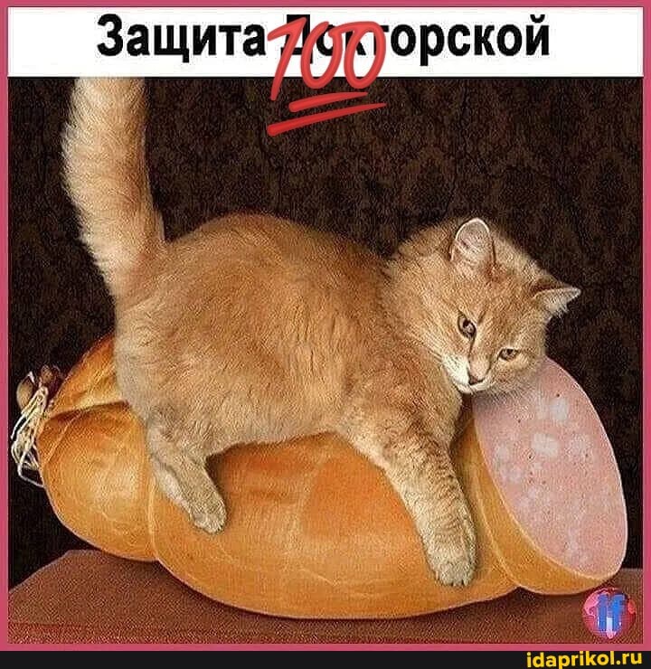 Защита '.горской