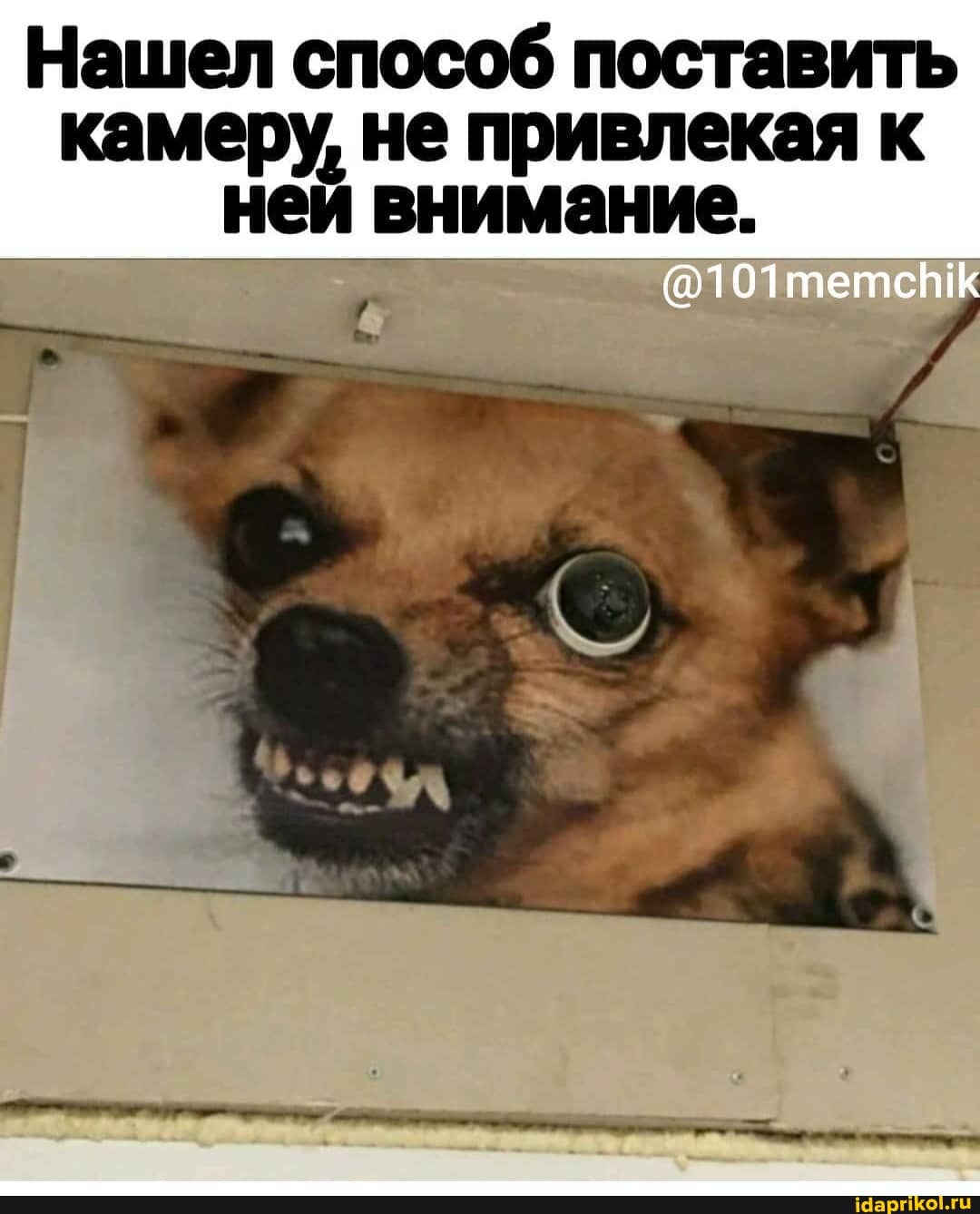 Нашел способ поставить камеру, не привлекая к ней внимание.