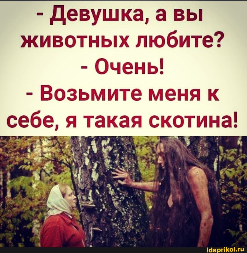 - Девушка, а вы животных любите?
- Очень!
- Возьмите меня к себе, я такая скотина!