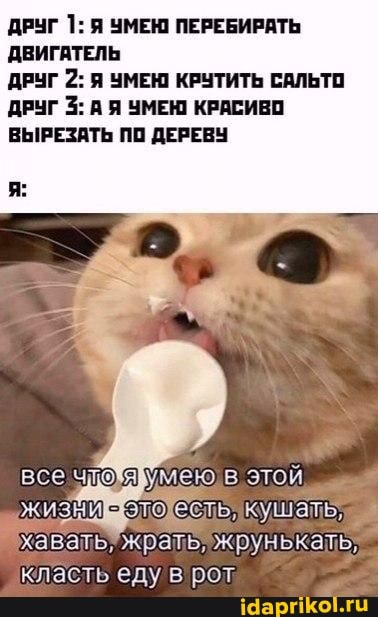 ДРУГ 1: Я УМЕН ПЕРЕБИРАТЬ ДВИГАТЕЛЬ
ДРУГ 2: Я ЧМЕН! КРУТИТЬ САЛЬТО ДРУГ 3: А Я УМЕЮ КРАСИВО ВЫРЕЗАТЬ ПО ДЕРЕВУ
все зумею) в этой жизниэтохесть, кушать, хавать/ жрать" жрунькать, класть еду'в рот