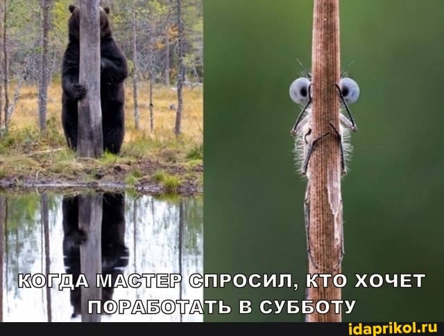 КОПЩА мАСТЕБ{ ПРОСИЛ, КТО ХОЧЕТ по ТЬ В СУББОТУ