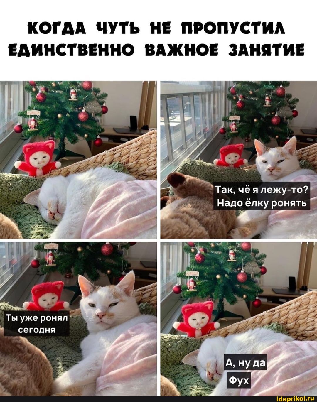 КОГАА ЧУТЬ НЕ ПРОПУСТИЛ ЕДИНСТВЕННО ВАЖНОЕ ЗАНЯТИЕ
Так, чё я лежу-то?
Надо елку ронять
Ты уже ронял сегодня