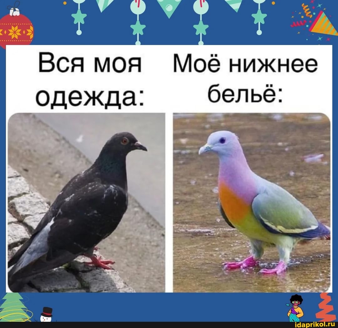 хх
Вся моя Моё нижнее одежда: белье: