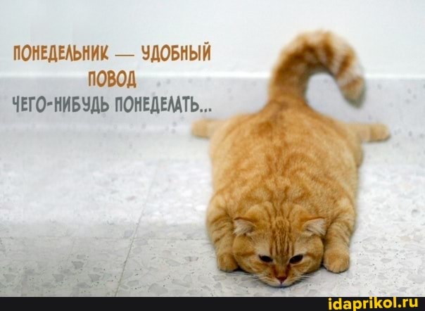 ПОНЕДЕЛЬНИК - УДОБНЫЙ повод
ЧЕГО-НИБУДЬ ПОНЕДЕМАТЬ...