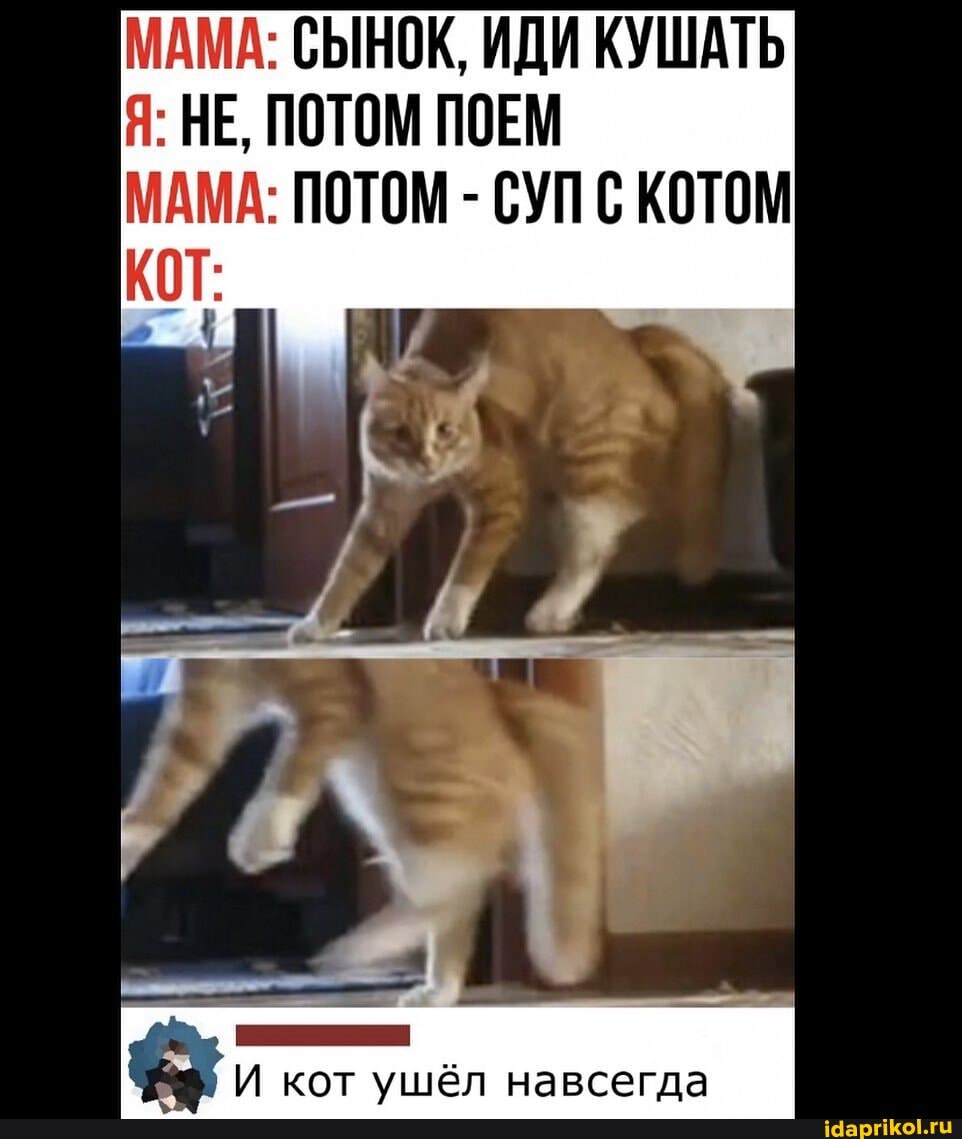 МАМА: СЫНОК, ИДИ КУШАТЬ Я: НЕ, ПОТОМ ПОЕМ
МАМА: ПОТОМ - СУП С КОТОМ КОТ:
кот навсегда