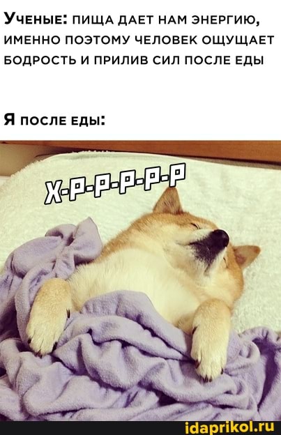 УЧЕНЫЕ: ПИЩА ДАЕТ НАМ ЭНЕРГИЮ,
ИМЕННО ПОЭТОМУ ЧЕЛОВЕК ОЩУЩАЕТ БОДРОСТЬ И ПРИЛИВ СИЛ ПОСЛЕ ЕДЫ
Я ПОСЛЕ ЕДЫ:
