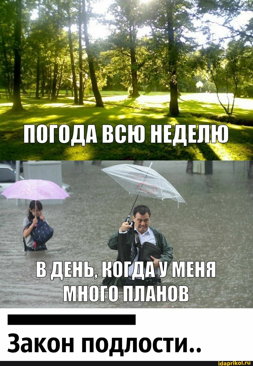 ПОГОДА
В ДЕНЬ, КОГДА У МЕНЯ МНОГО ПЛАНОВ
Закон подлости..