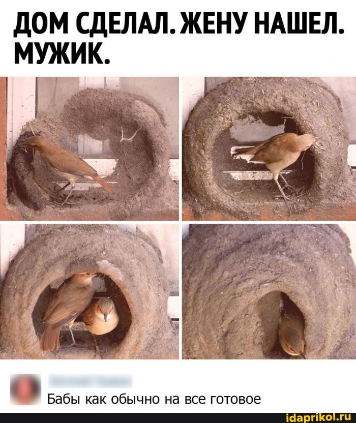 ДОМ СДЕЛАЛ. ЖЕНУ НАШЕЛ.
МУЖИК.
Бабы как обычно на все готовое