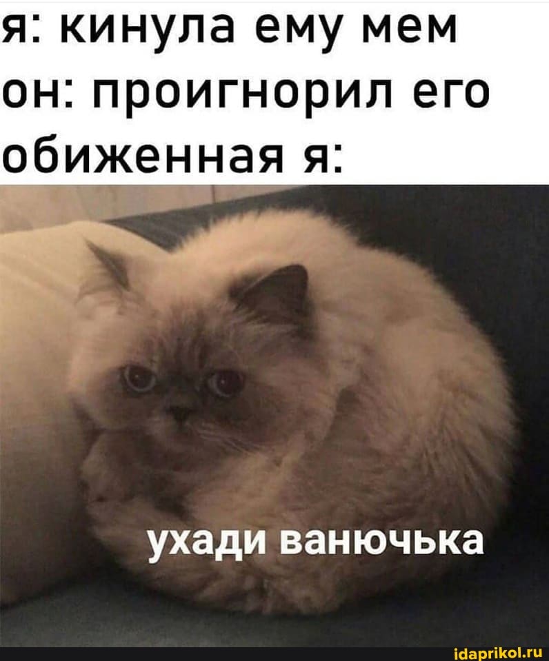 я: кинула ему мем
он: проигнорил его обиженная я:
ухади ванючька