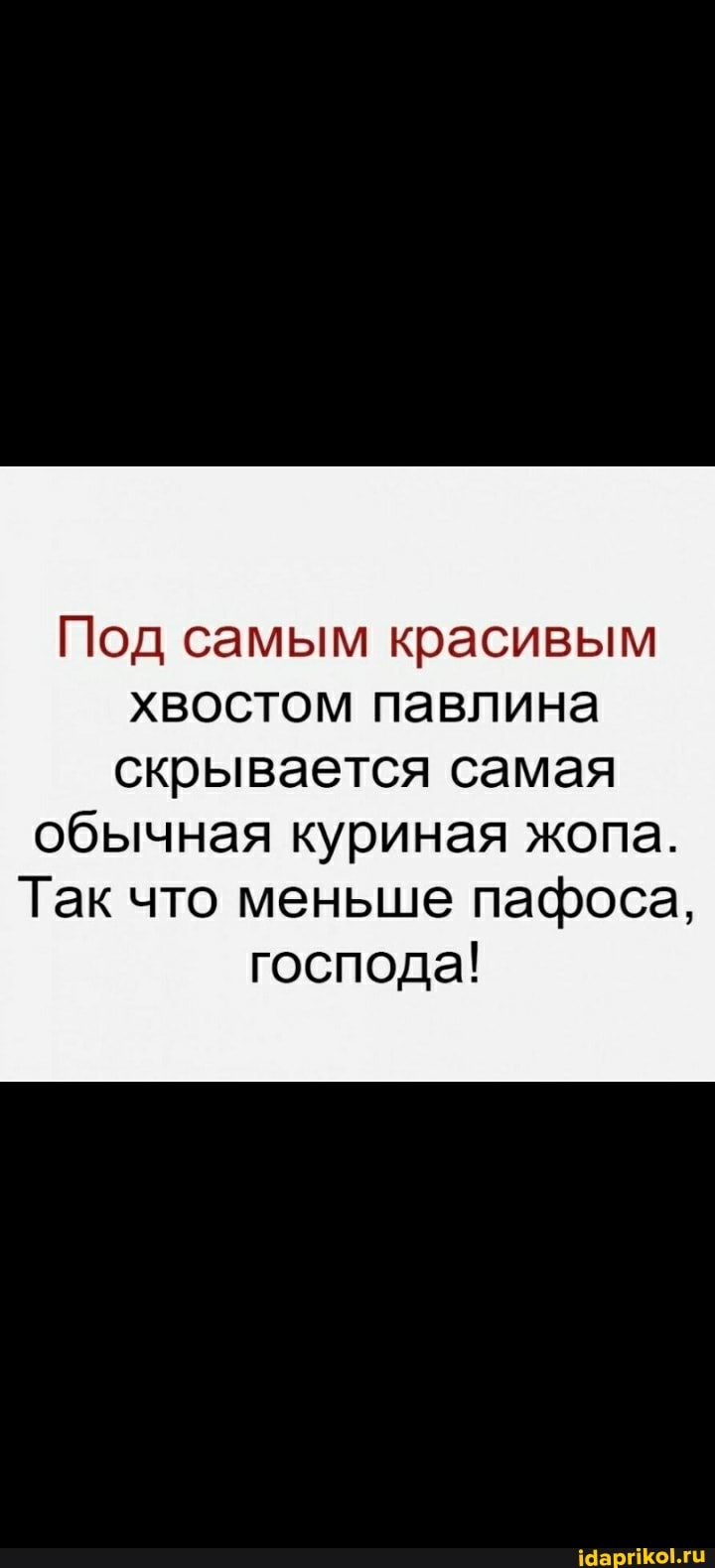 Под самым красивым хвостом павлина скрывается самая
обычная куриная жопа.
Так что меньше пафоса, господа!