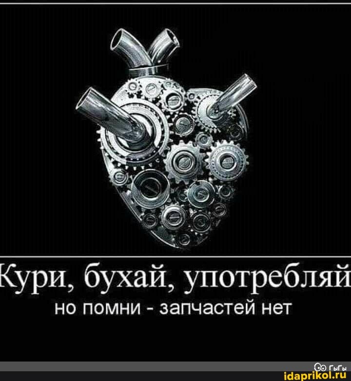 Кури, бухай, употребляй
но помни - запчастей нет
гыгы