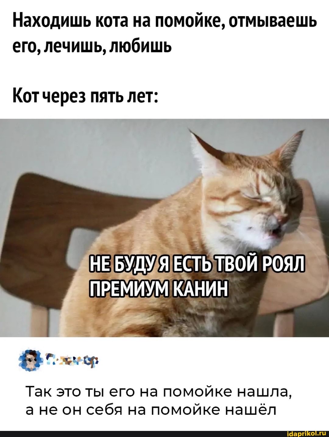 Находишь кота на помойке, отмываешь его, лечишь, любишь
Кот через пять лет:
НЕ БУДУ ЕСТЬ ТВОЙ РОЯЛ
ПРЕМИУМ КАНИН
Так это ты его на помойке нашла, а не он себя на помойке нашёл