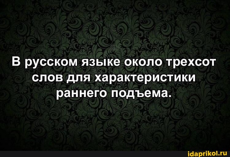 В русском языке около трехсот слов для характеристики раннего подема.