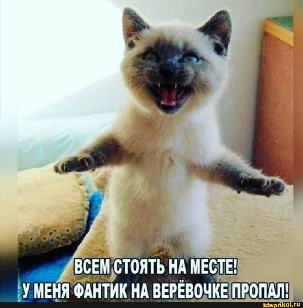 ВСЕМ СТОЯТЬ НА МЕСТЕ!
МЕНЯ ФАНТИК НА ВЕРЕВОЧКЕ ПРОПАЛ: