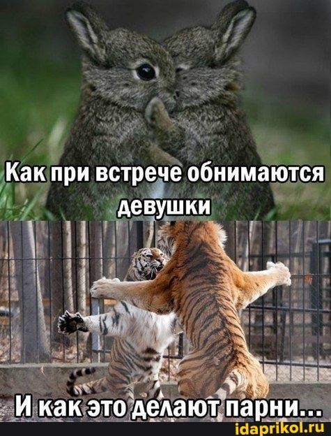 Как при встрече обнимаются девушки
И как это делают парни...
