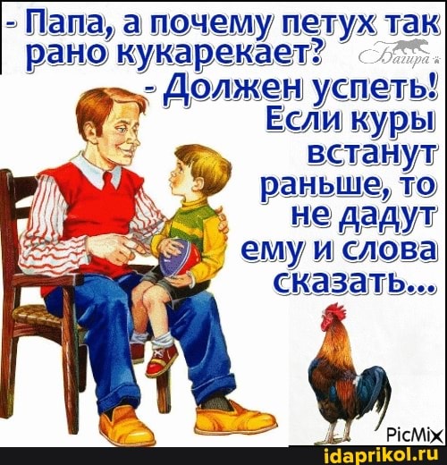 - Папа, а почему петух так рано кукарекает?
- Должен успеть!
Если куры встанут раньше, то не дадут ему слова сказать...