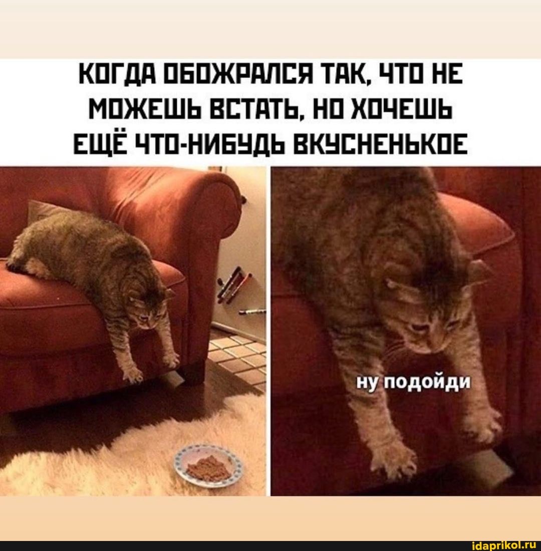 КОГДА ОБОЖРАЛСЯ ТАК, ЧТО НЕ МОЖЕШЬ ВСТАТЬ, НО ХОЧЕШЬ ЕЩЁ ЧТО-НИБУДЬ ВКУСНЕНЬКОЕ
ну подойди