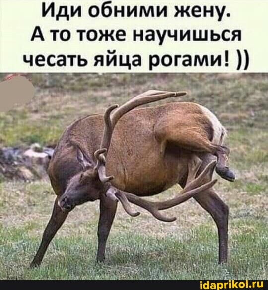 Иди обними жену.
А то тоже научишься чесать яйца рогами!