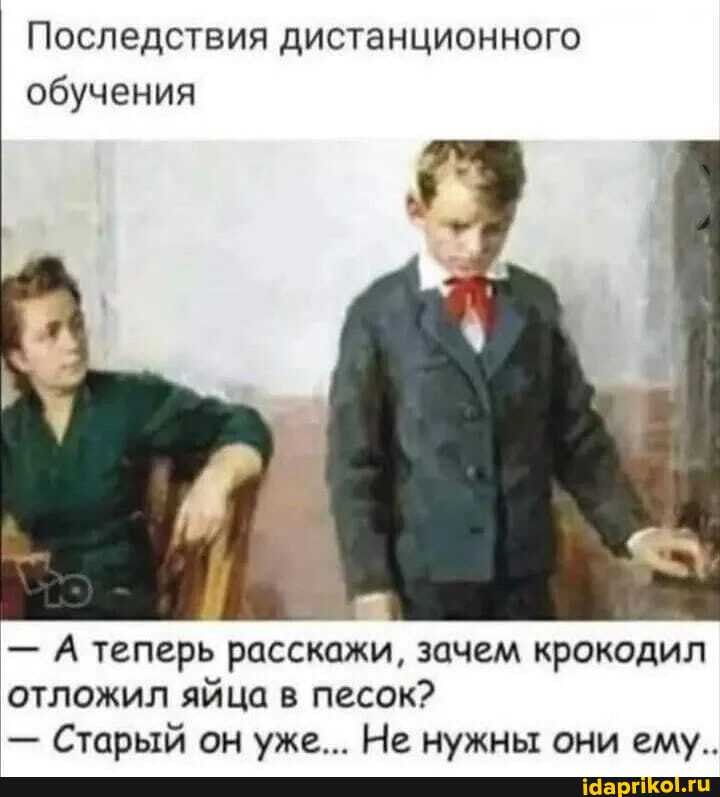 Последствия дистанционного обучения
А теперь расскажи, зачем крокодил отложил яйца в песок?
- Старый он уже... Не нужны они ему..