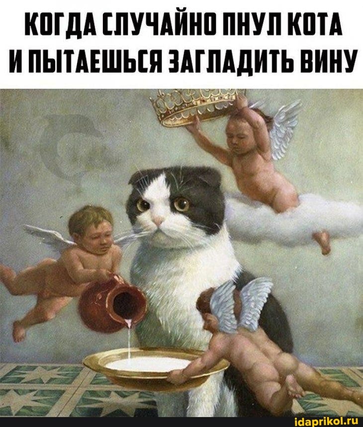 КОГДА СЛУЧАЙНО ПНУЛ КОТА ПЫТАЕШЬСЯ ЗАГЛАДИТ ВИНУ