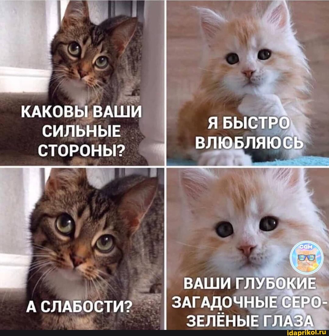 КАКОВЫ ВАШИ I СИЛЬНЫЕ СТОРОНЫ? ВЛЮБЛЯЮСЬ
ВАШИ ГЛУБОКИЕ
А СЛАБОСТИ? I ЗАГАДОЧНЫЕ СЕРО-
ЗРРПЕНЫГЕ