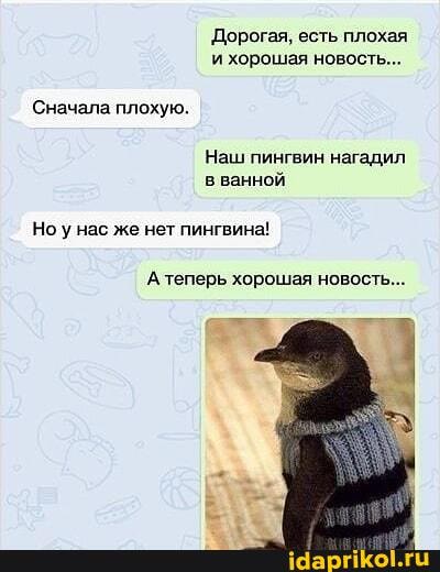 Дорогая, есть плохая и хорошая новость...
Сначала плохую.
Наш пингвин нагадил в ванной
Ноу нас же нет пингвина!
А теперь хорошая новость...