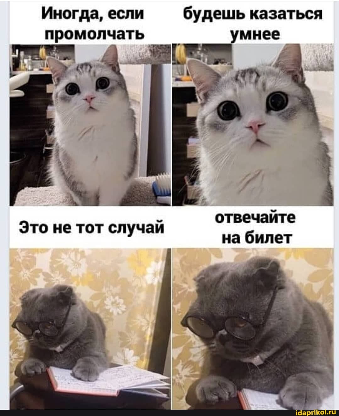 Иногда, если будешь казаться промолчать
отвечайте на билет
Это не тот случай