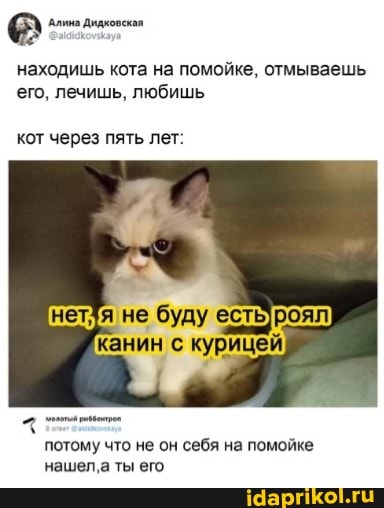 Алина Дидковская
находишь кота на помойке, отмываешь его, лечишь, любишь
кот через пять лет:
не буду естьроял канин с курицей
потому что не он себя на помойке нашел,а ты его