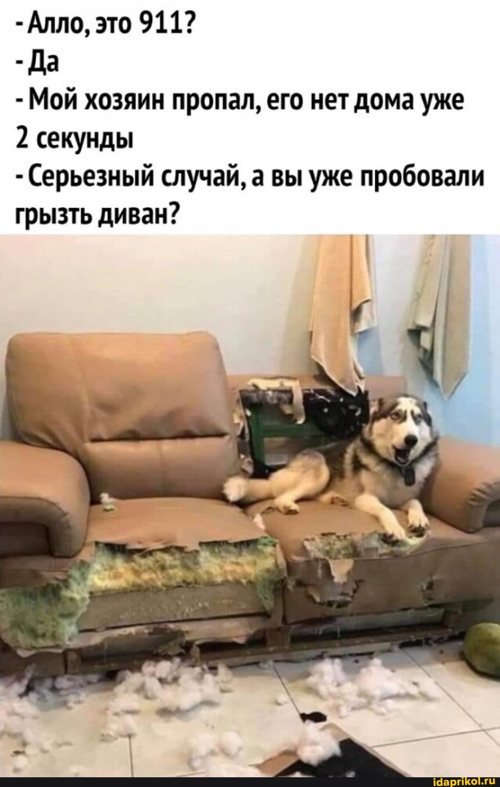 - Алло, это 911?
Да
- Мой хозяин пропал, его нет дома уже
2 секунды
- Серьезный случай, а вы уже пробовали грызть диван?