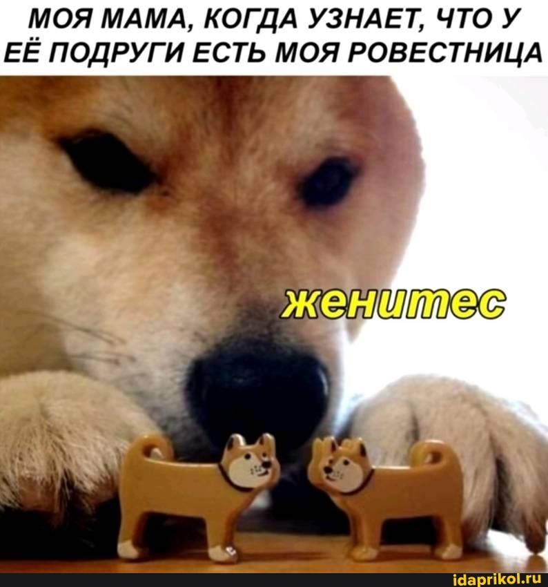МОЯ МАМА, КОГДА УЗНАЕТ, ЧТО У ЕЁ ПОДРУГИ ЕСТЬ МОЯ РОВЕСТНИЦА