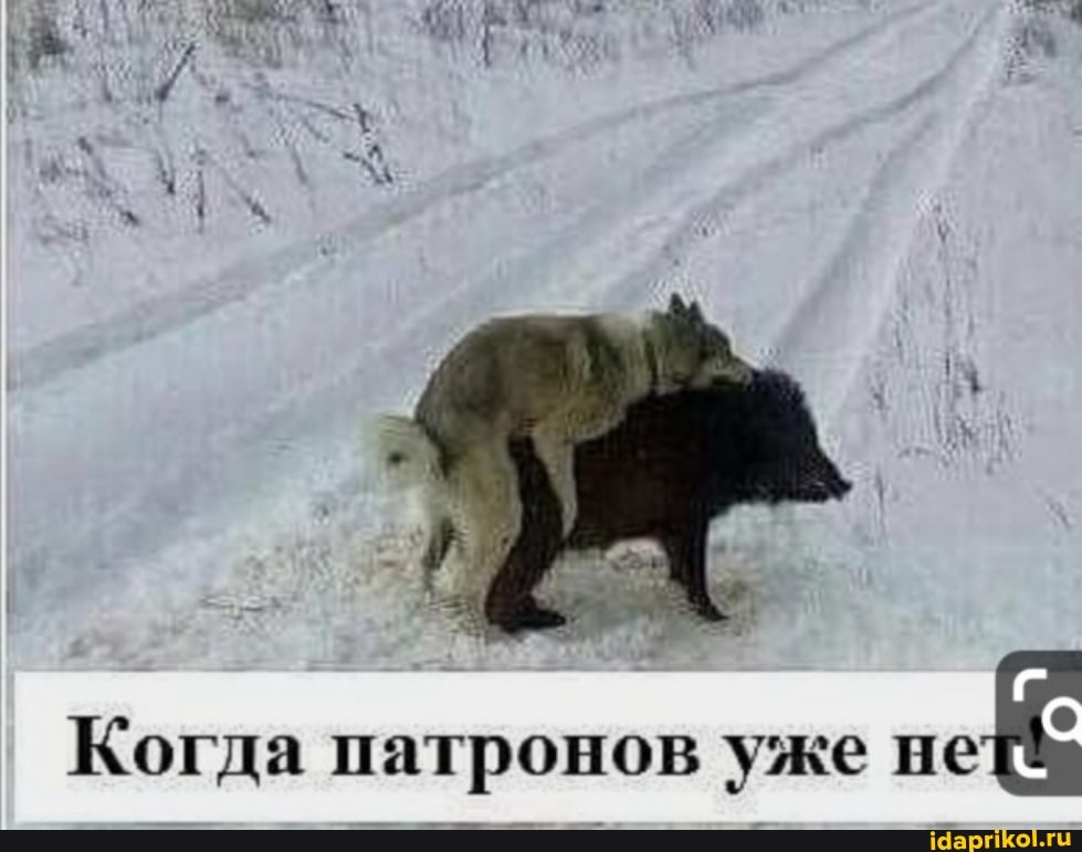 ул
Когда патронов уже не