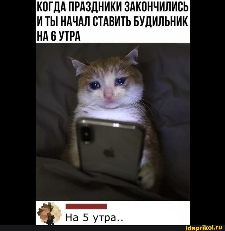 КОГДА ПРАЗДНИКИ ЗАКОНЧИЛИСЬ ИТЫ НАЧАЛ СТАВИТЬ БУДИЛЬНИК НА 6 УТРА
На утра..