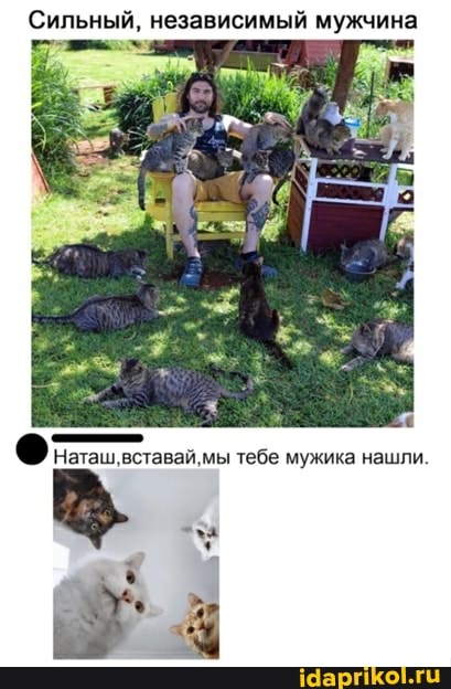 Сильный, независимый мужчина