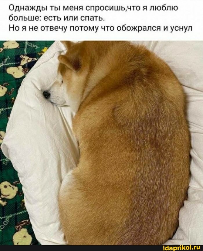 Однажды ты меня спросишьнчто я люблю больше: есть или спать.
Но я не отвечу потому что обожрался и уснул