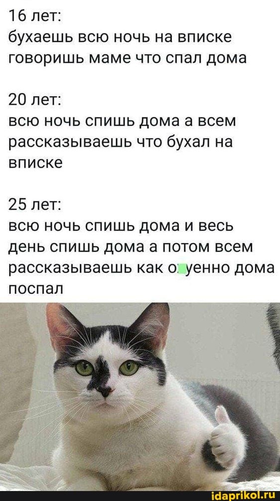 16 лет: бухаешь всю ночь на вписке говоришь маме что спал дома
20 лет: всю ночь спишь дома а всем рассказываешь что бухал на вписке
25 лет:
всю ночь спишь дома и весь день спишь дома а потом всем рассказываешь как уенно дома поспал
