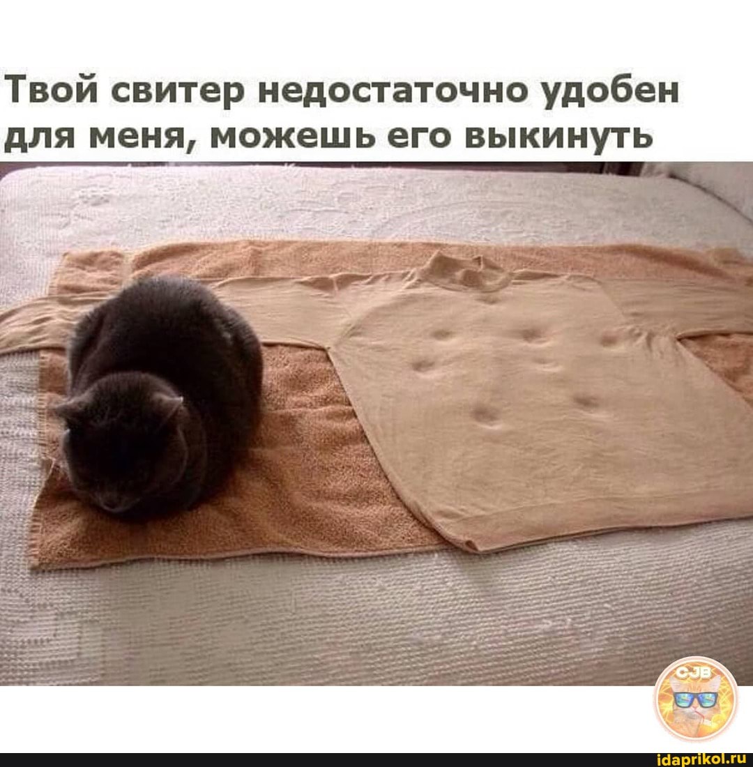 Твой свитер недостаточно удобен для меня, можешь его выкинуть
